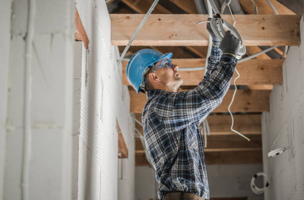 Best Home Electrical Repair  in Tama, IA
